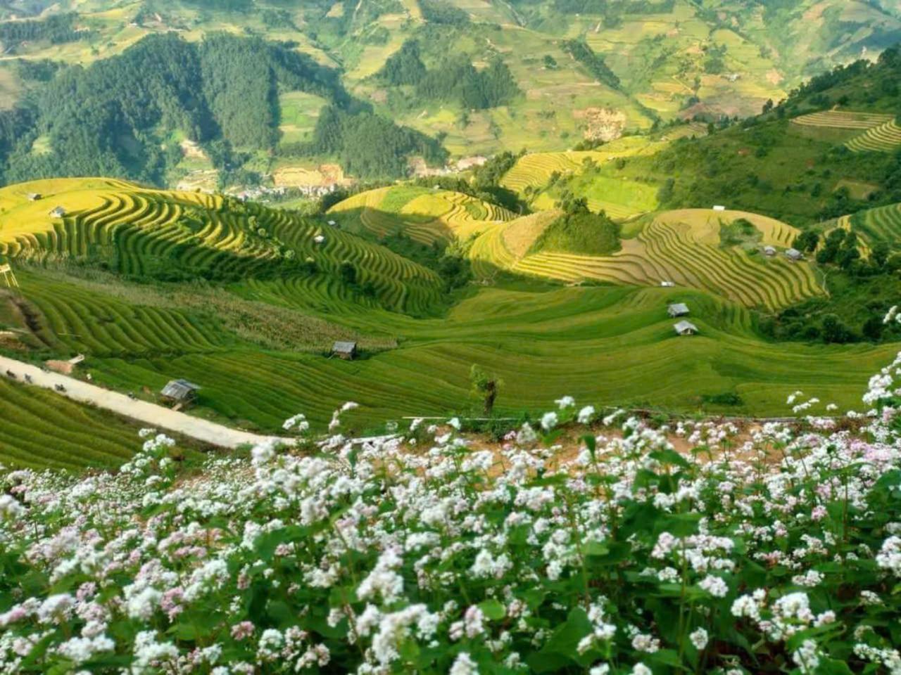Mu Cang Chai Eco Home Eksteriør billede