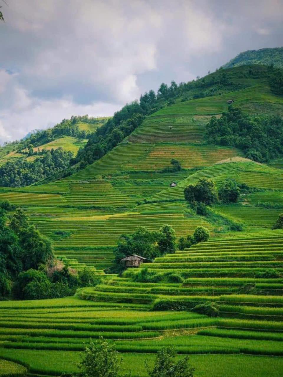 Mu Cang Chai Eco Home Eksteriør billede