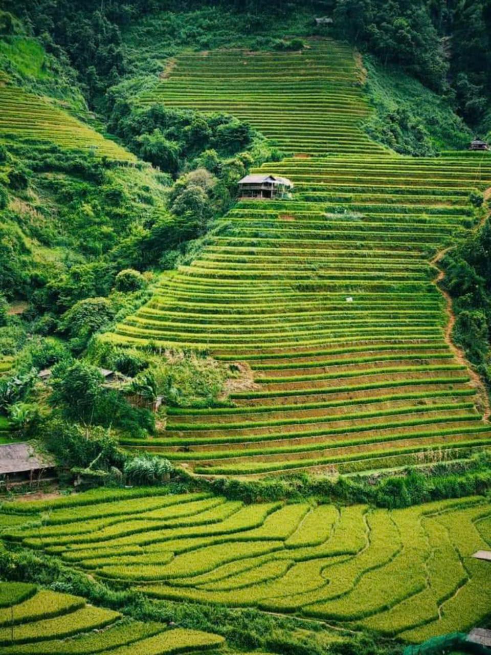 Mu Cang Chai Eco Home Eksteriør billede